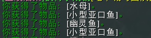 正式服装备升级指南：从基础到精通