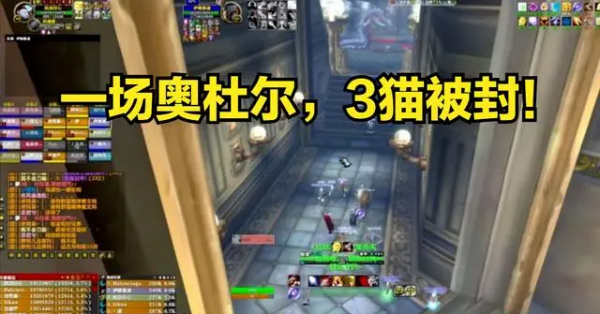 魔兽世界.jpg
